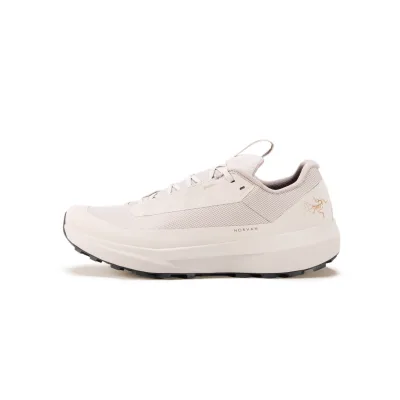 Arc'teryx Mens Norvan LD 4 GTX Shoes