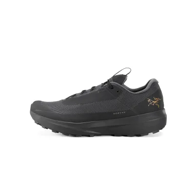 Arc'teryx Mens Norvan LD 4 GTX Shoes